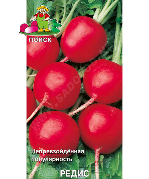 Редис Жара семена 