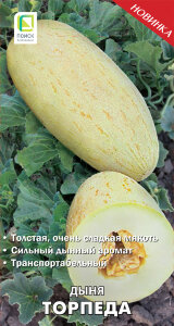Дыня Торпеда Дыня Торпеда