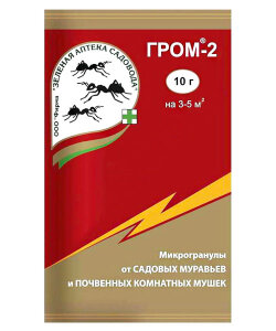 Гром-2 Гром-2
