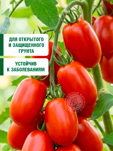 Томат Бенито F1 семена 